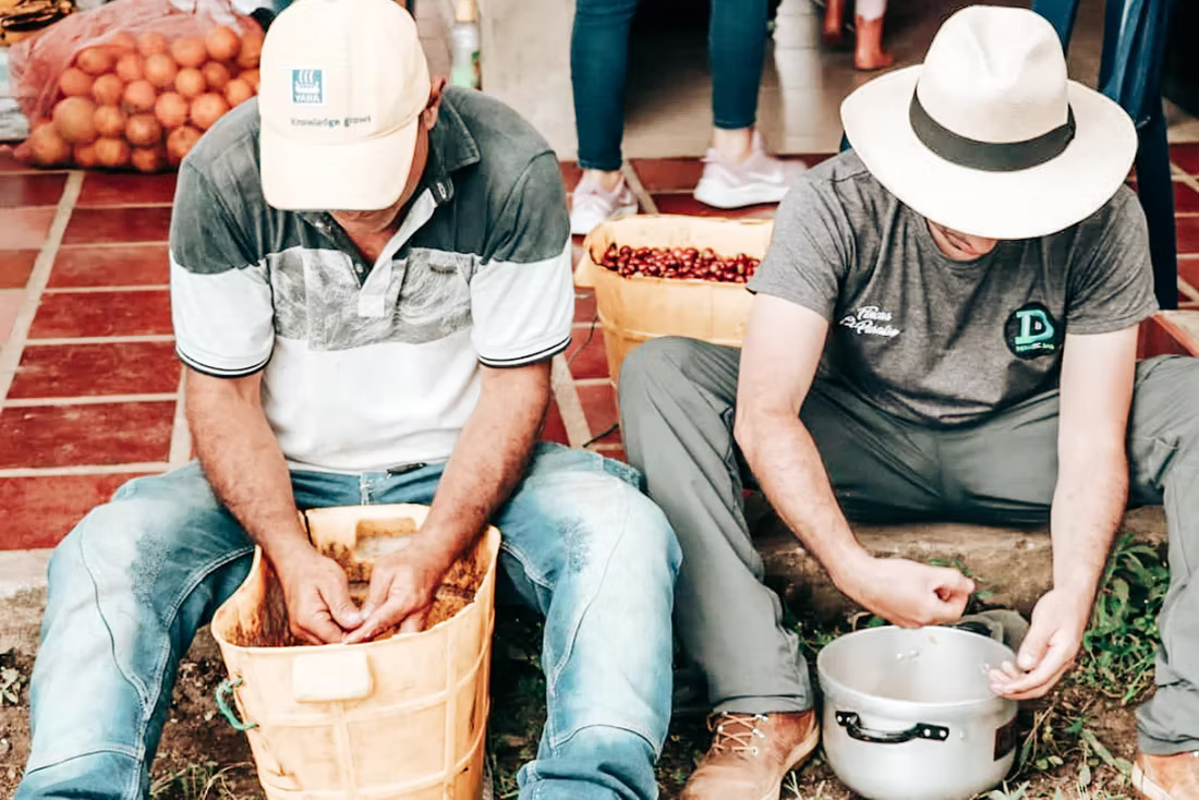 Colombia El Buho Sugarcane Decaf by Creation Coffee