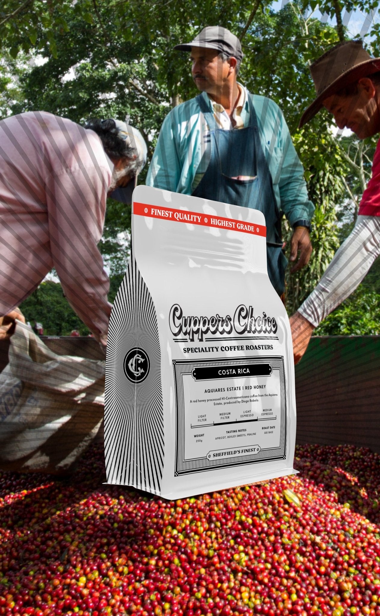 Aquiares | Red Honey | Costa Rica by Cuppers Choice