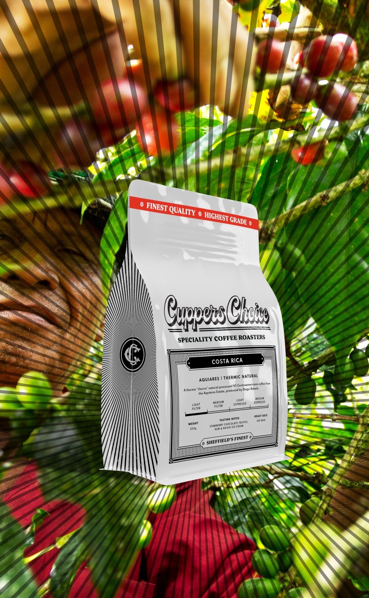Aquiares | Thermic "Churro" Natual | Costa Rica by…