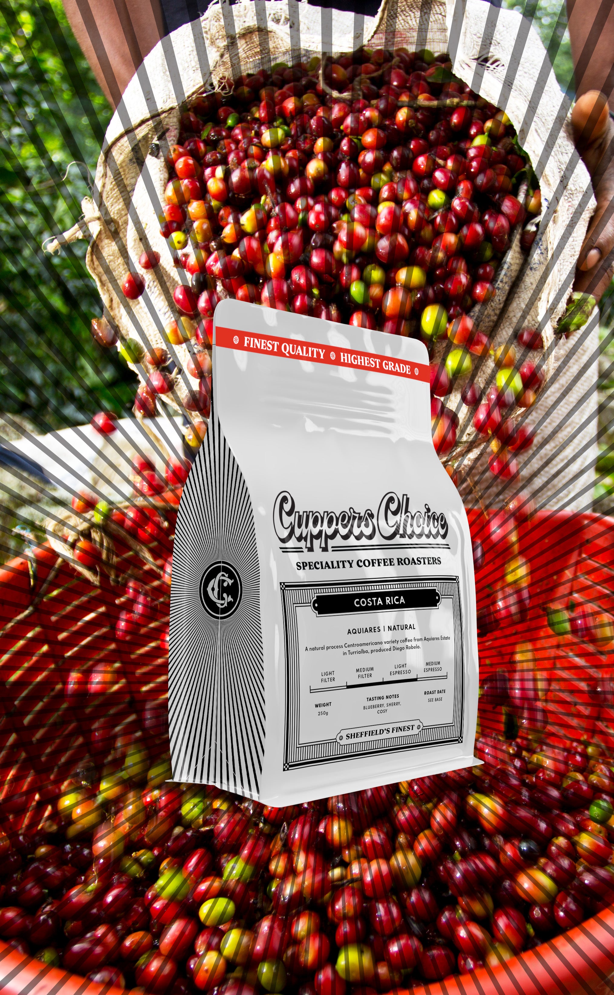 Aquiares | Natural | Costa Rica by Cuppers Choice