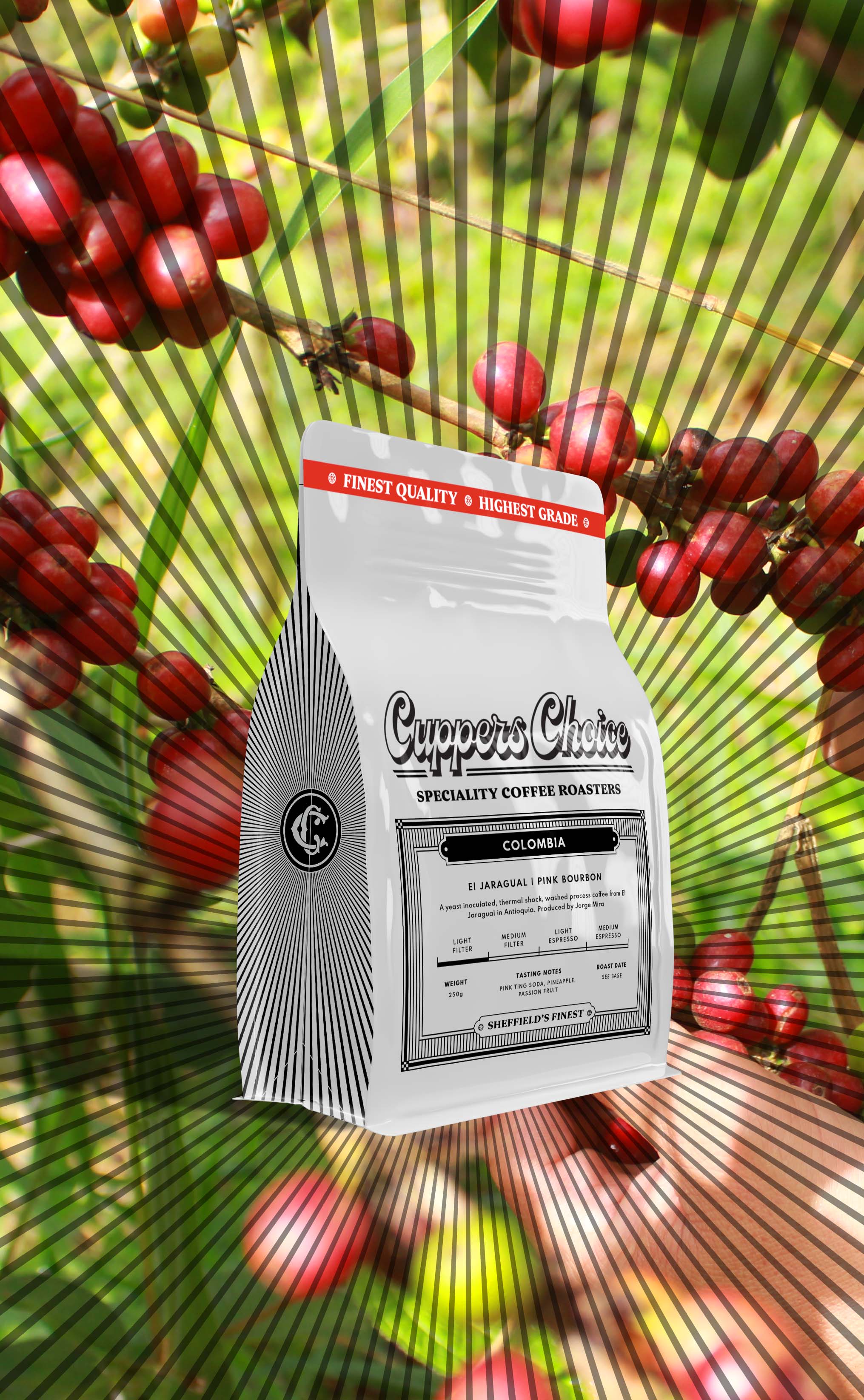 El Jaragual | Thermal Shock Pink Bourbon | Colombia by…