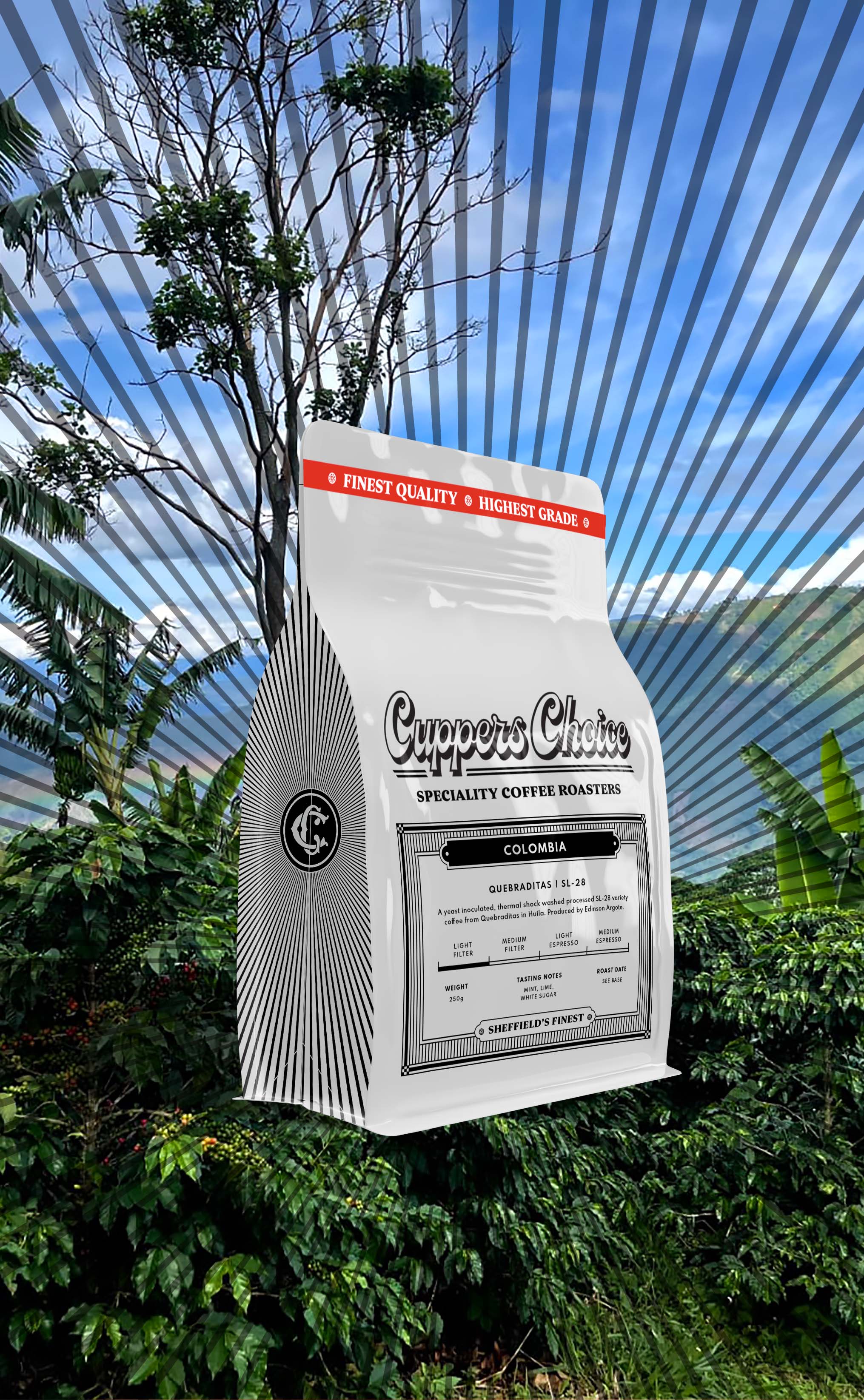 Quebraditas | SL-28 | Colombia by Cuppers Choice