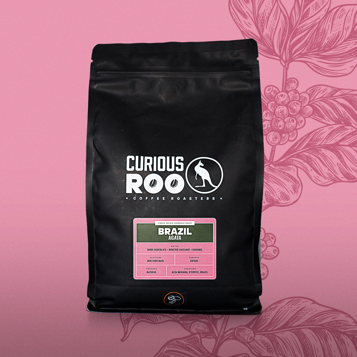 Brazil - Agata — Brazil by Curious Roo
