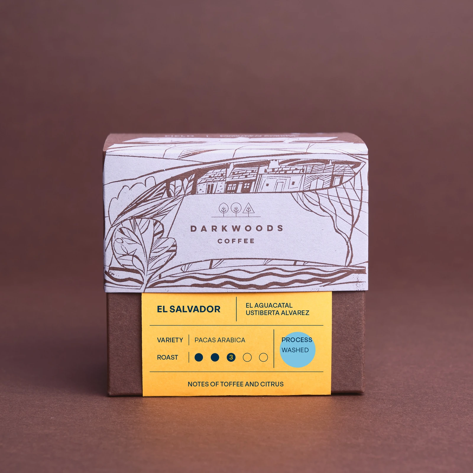 El Salvador El Aguacatal (Washed) by Dark Woods Coffee