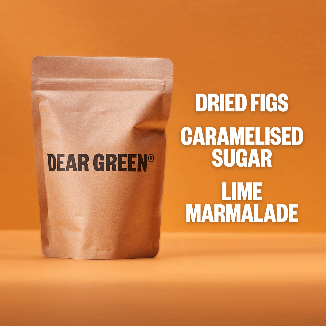 Mexico - Sakubel - Washed by Dear Green Coffee Roasters