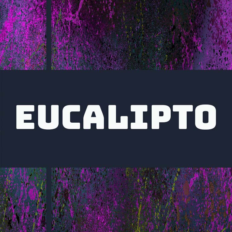 Peru Eucalipto by Django Coffee Co.
