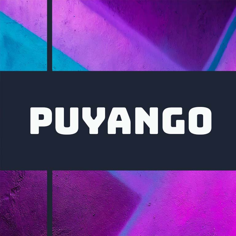 Ecuador Puyango by Django Coffee Co.