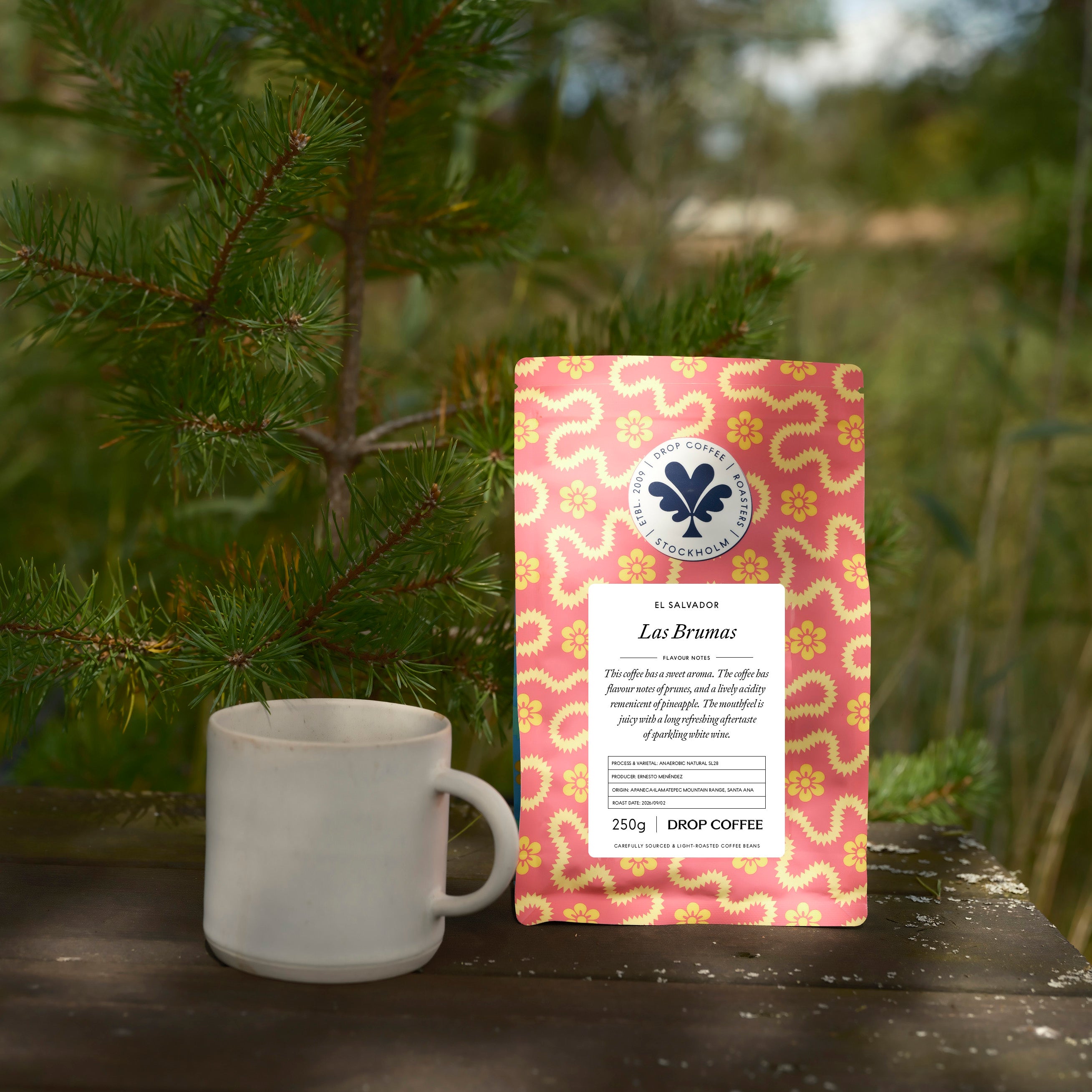 Las Brumas, WFC, Anaerobic Natural SL28, El Salvador — El Salvador by Drop Coffee