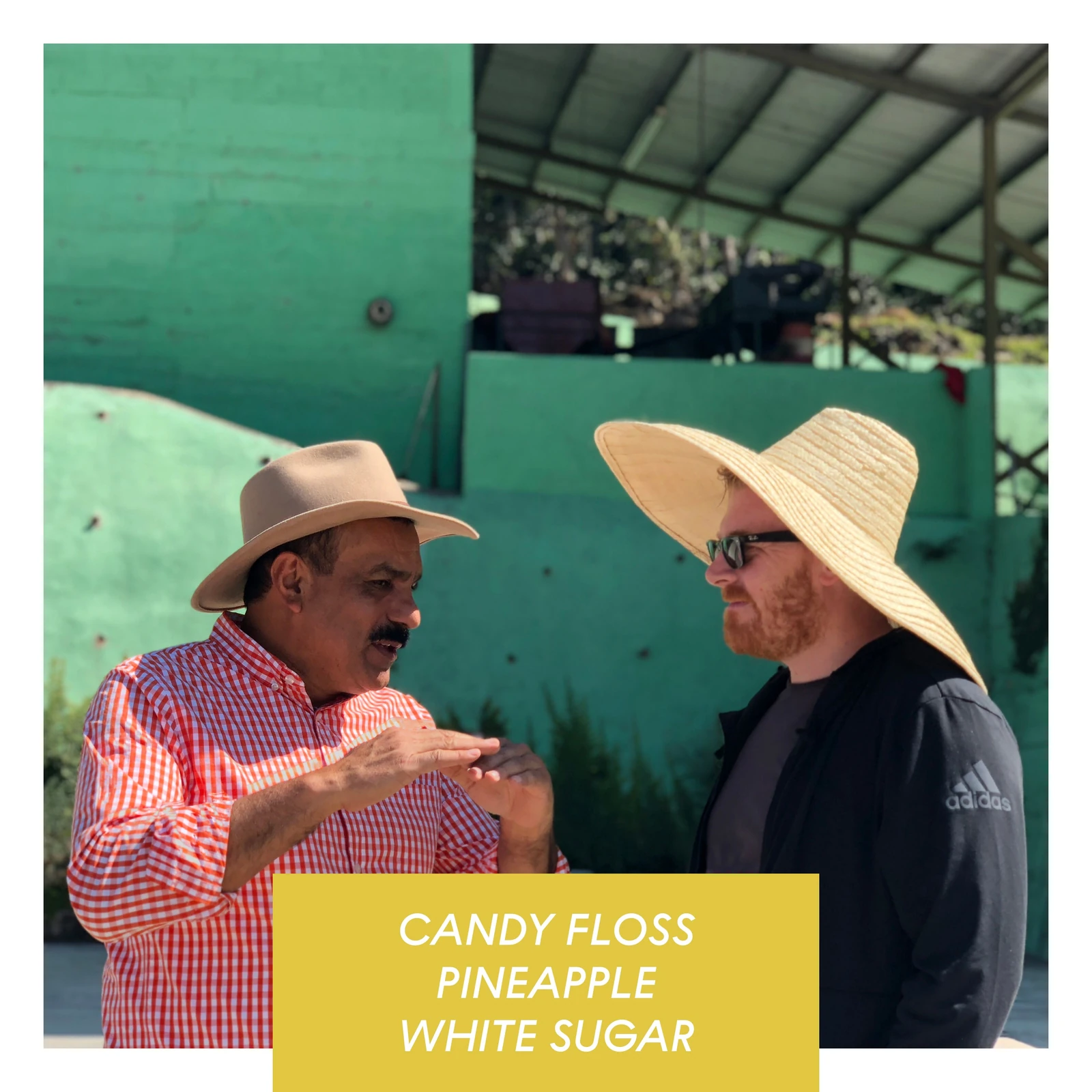 Los Altares, Anaerobic Honey Caturra, Guatemala by Drop…