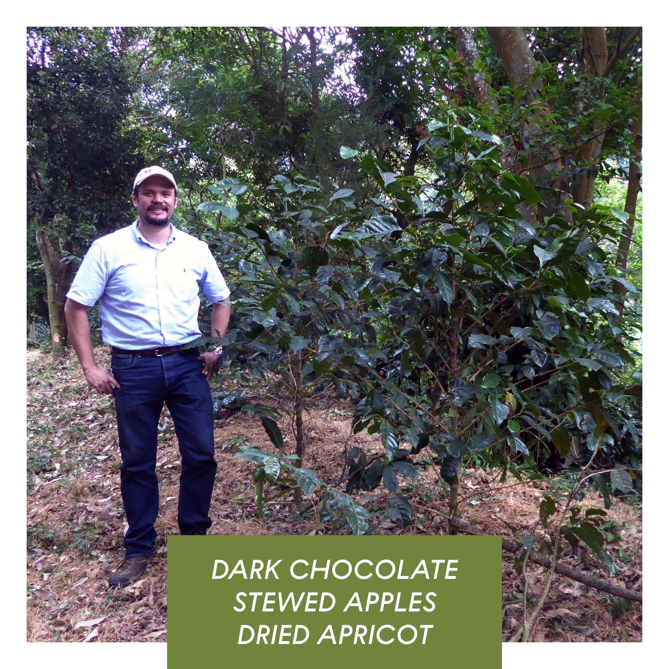 Los Andes, Anaerobic Natural Bourbon, El Salvador by…