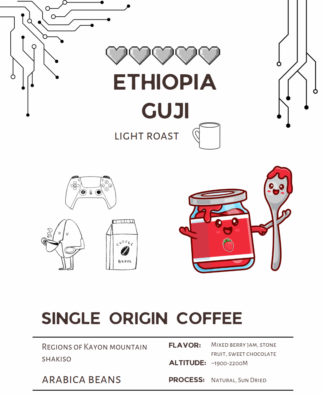 Ethiopian Guji — Ethiopia by Engineering Energy Coffee Co.