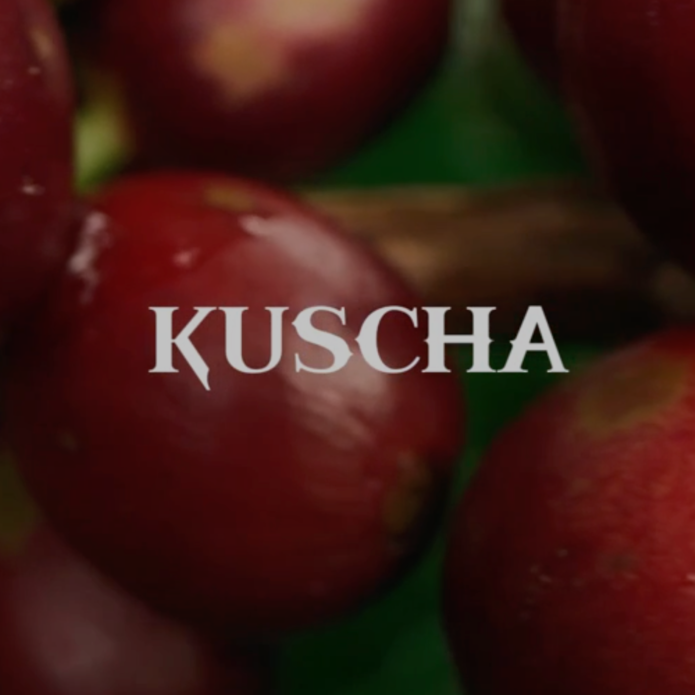 KUSCHA ETHIOPIA FILTER — Ethiopia by Ernst Kaffee