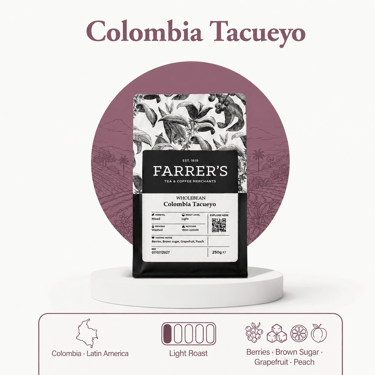 Colombian Tacueyo