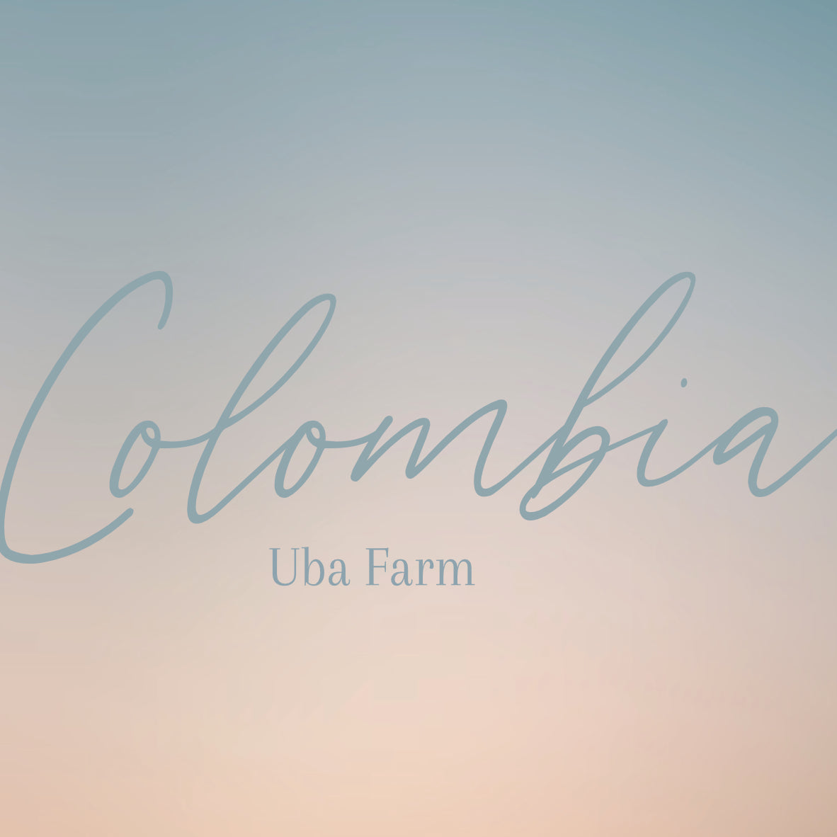 COLOMBIA - UBA FARM by Fire & Flow Coffee