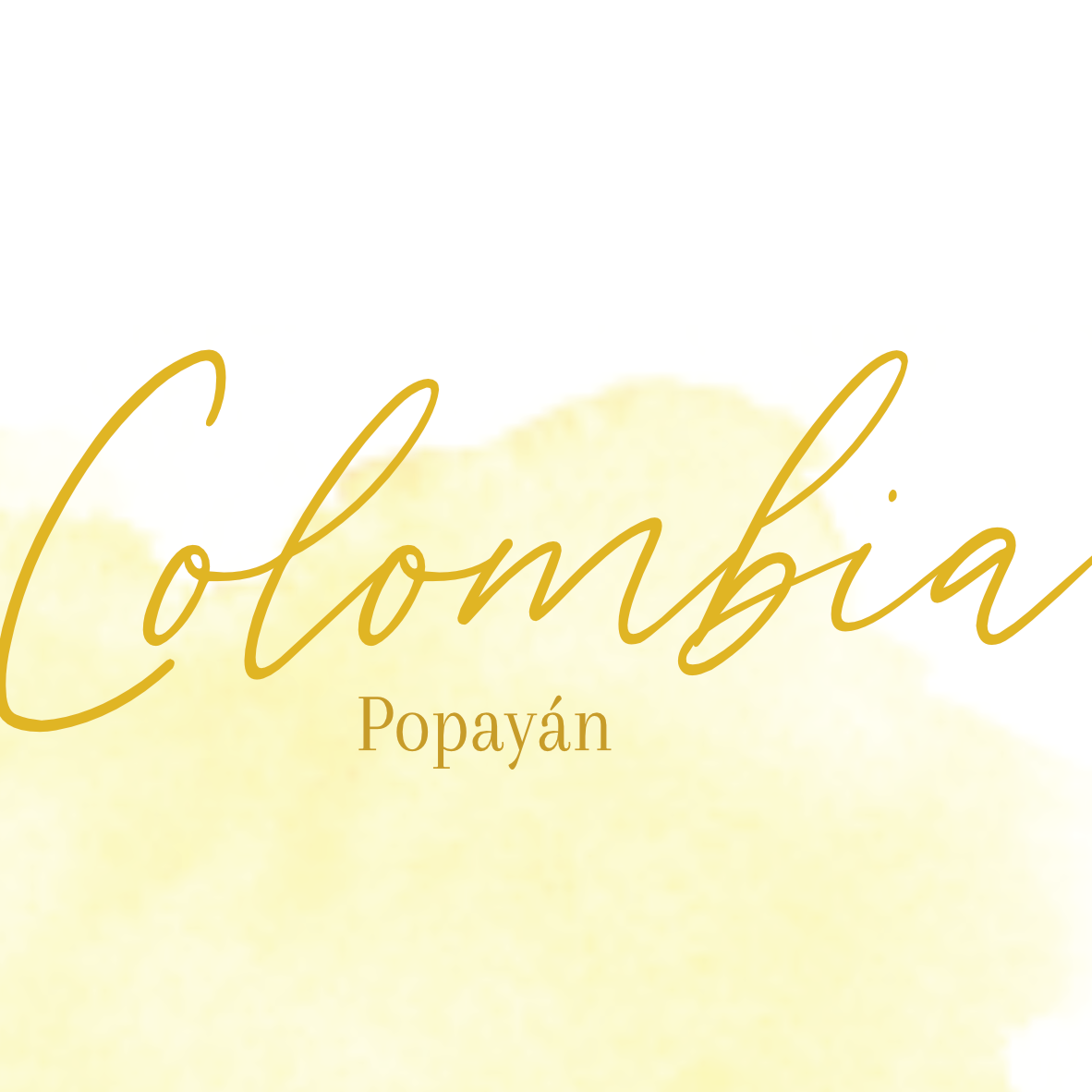 COLOMBIA - POPAYÁN by Fire & Flow Coffee