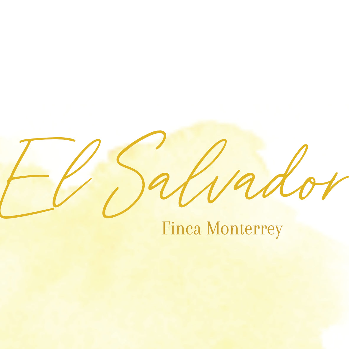 EL SALVADOR - FINCA MONTERREY by Fire & Flow Coffee