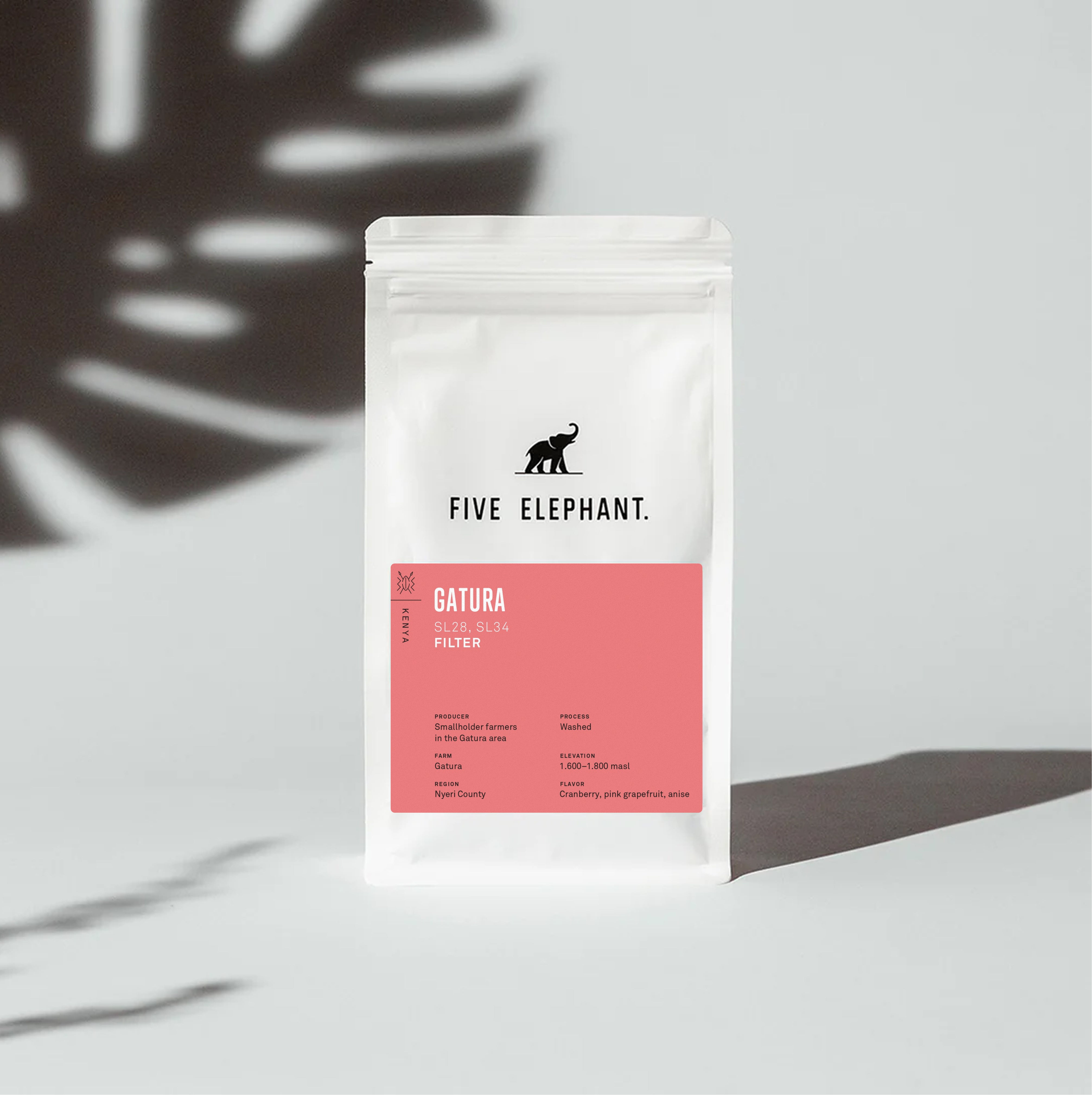 Kenya Gatura – Filter — Kenya by Five Elephant