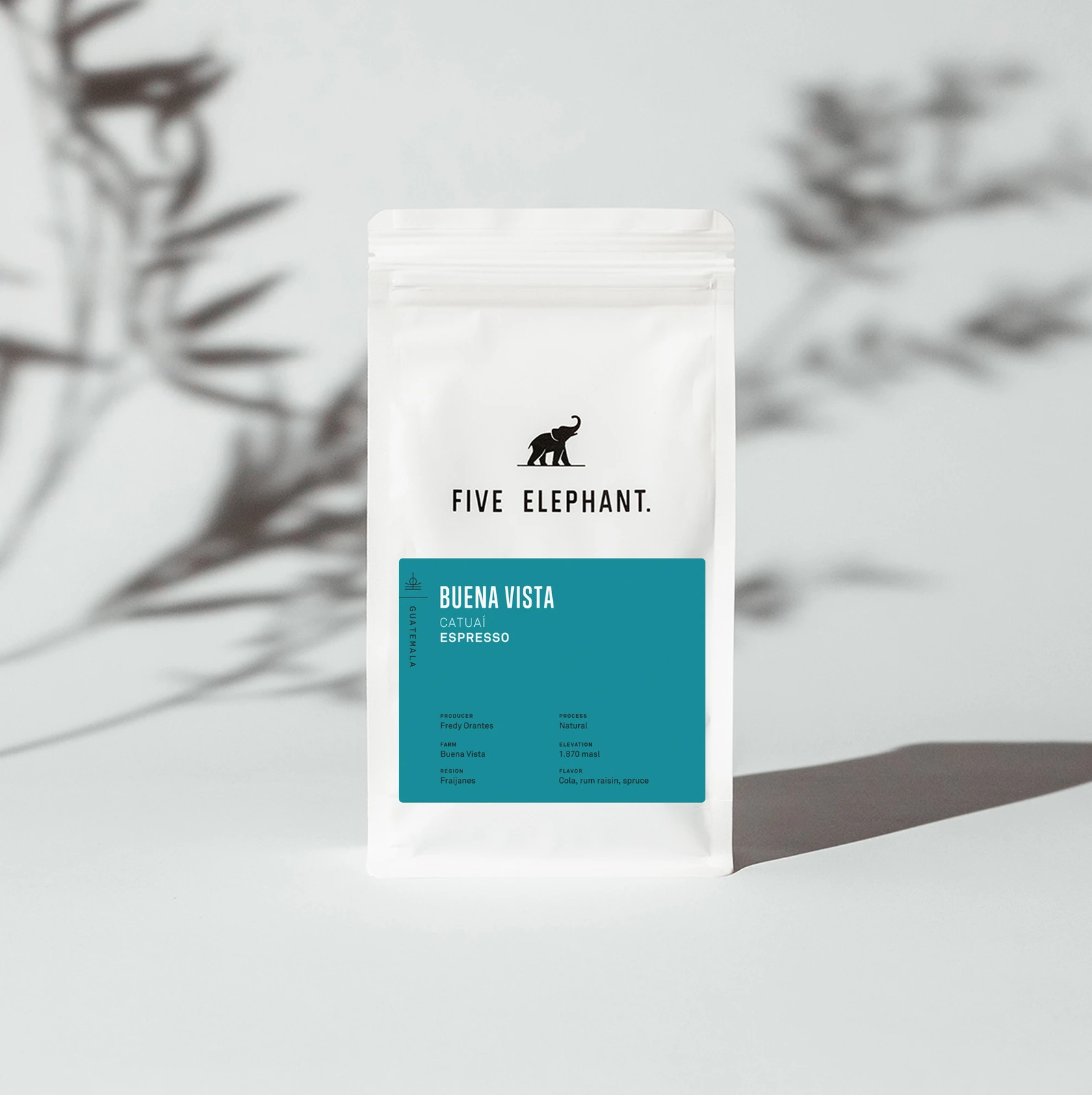 GUATEMALA Buena Vista – Espresso