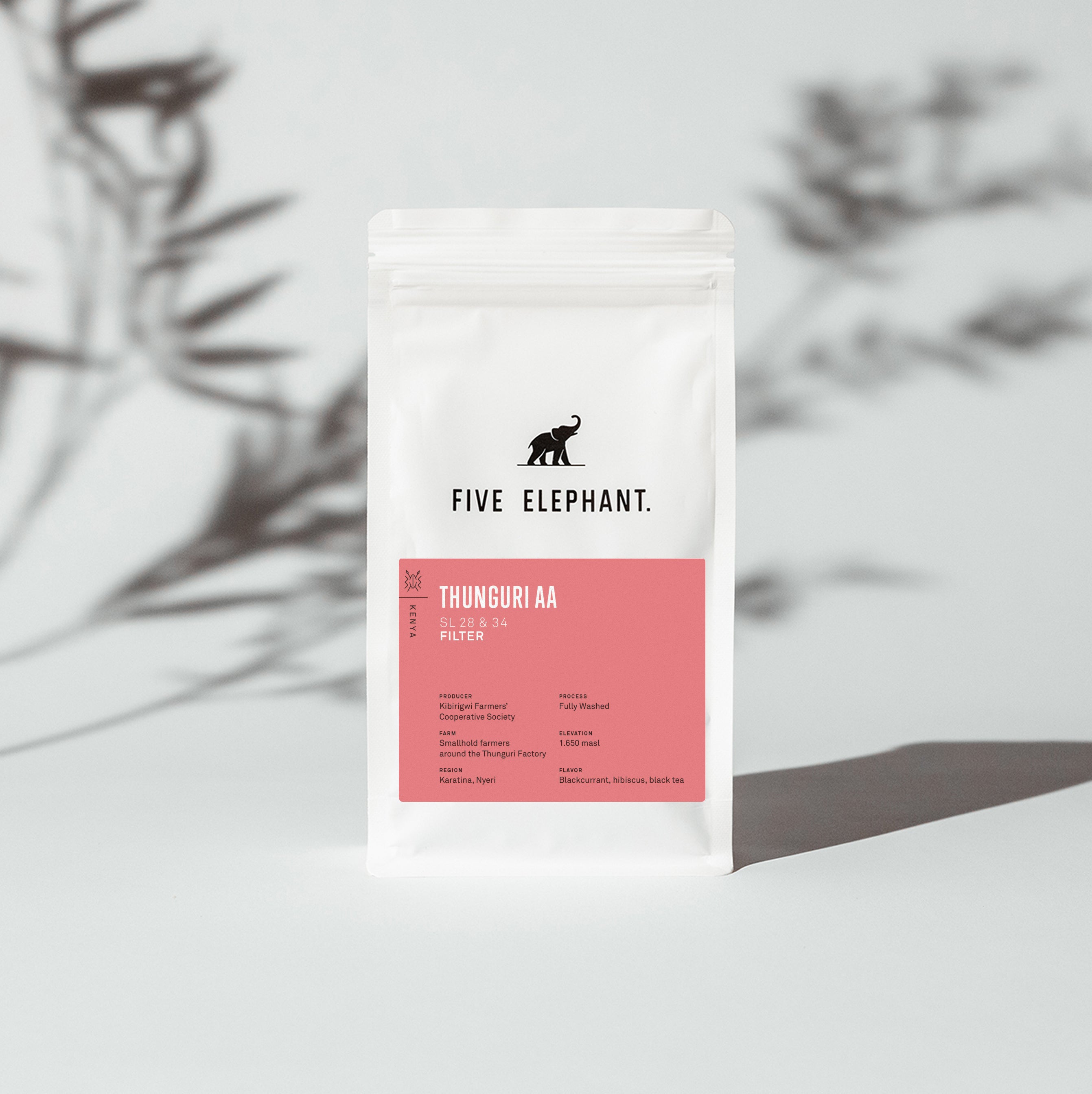 KENYA Thunguri AA – Filter