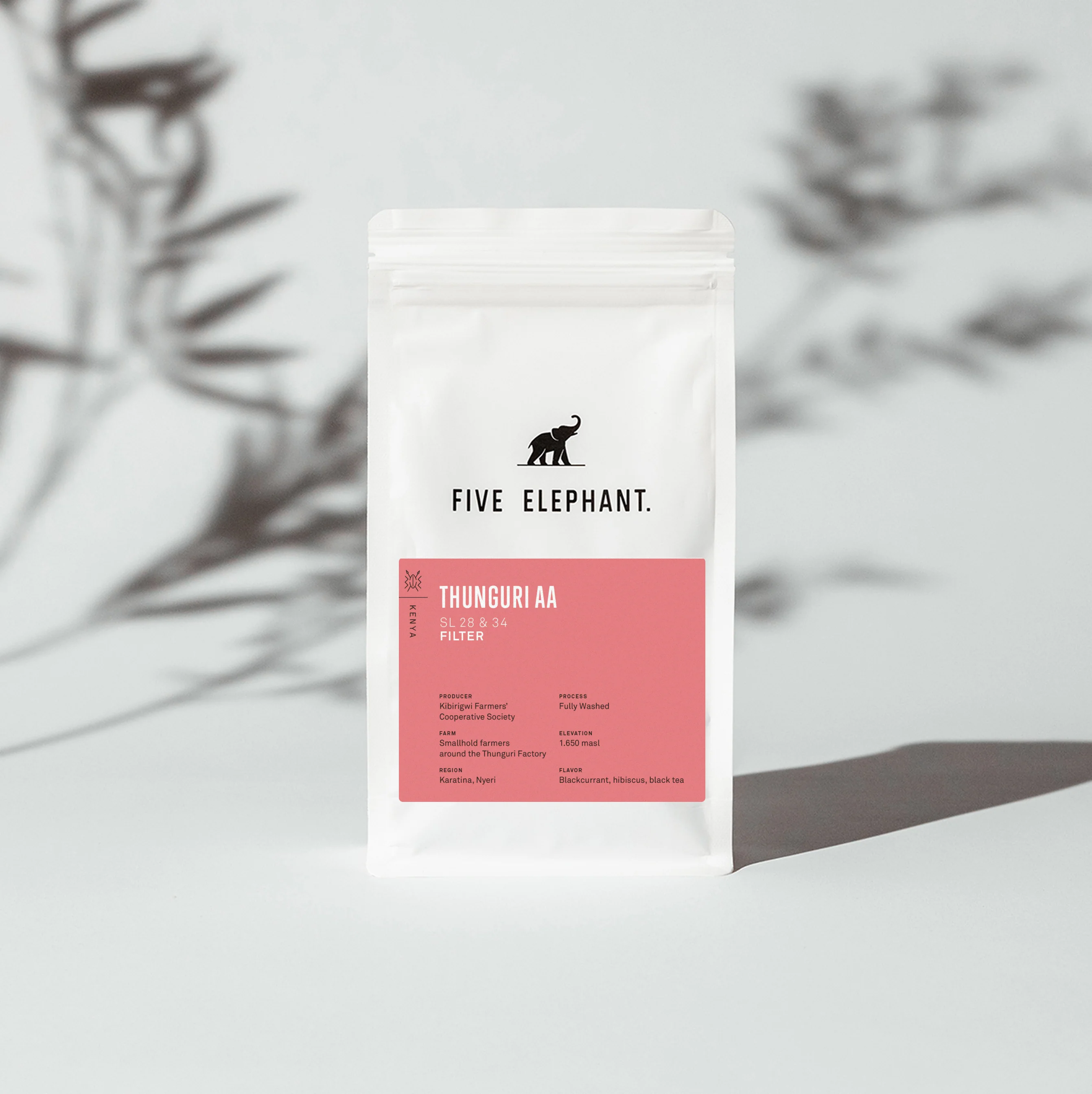 KENYA Thunguri AA - Filter by Five Elephant