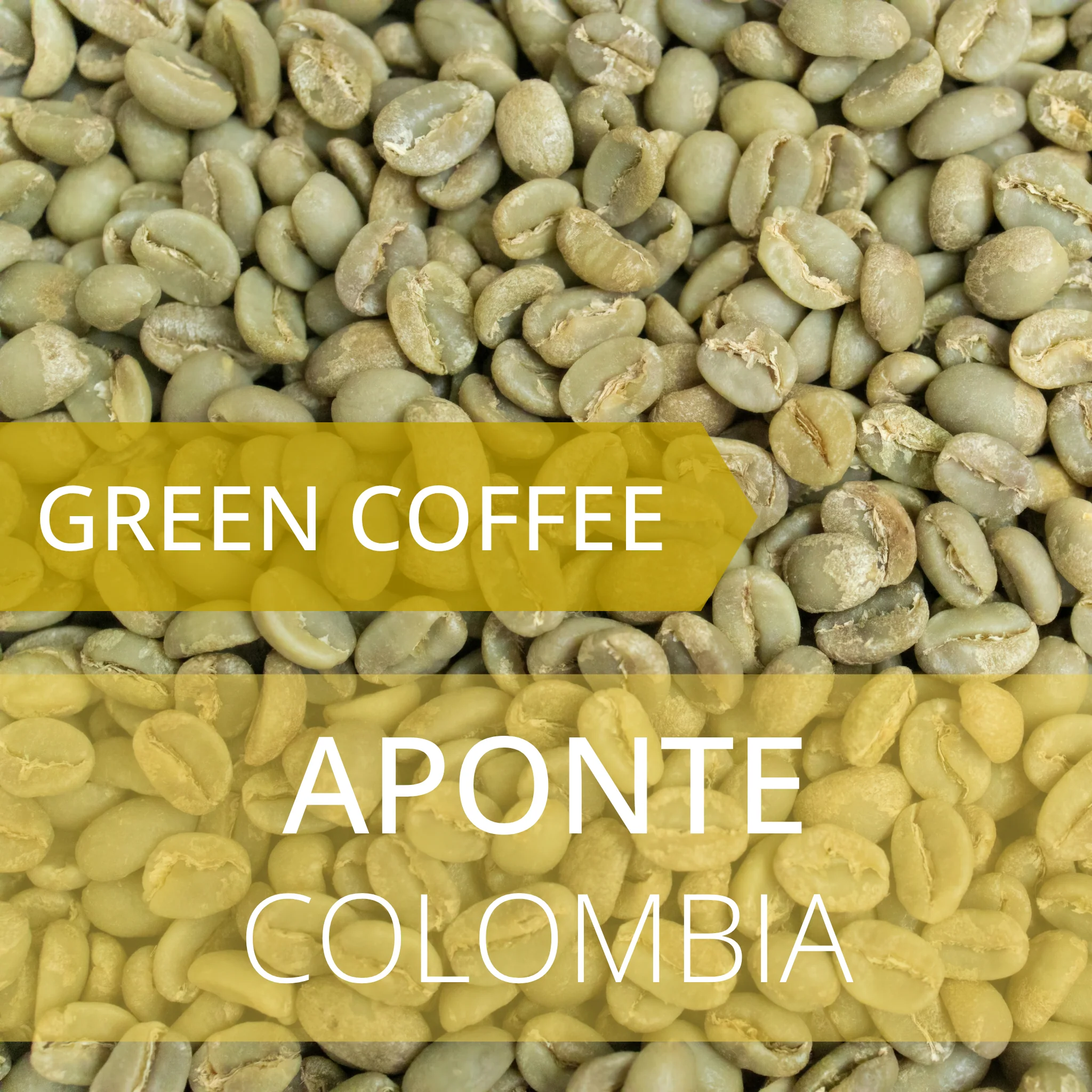 Aponte - Colombia by Foundry Coffee Roasters