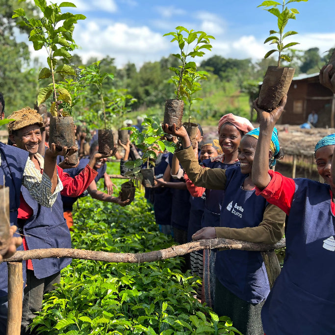 Ethiopia - Taferi Kelu