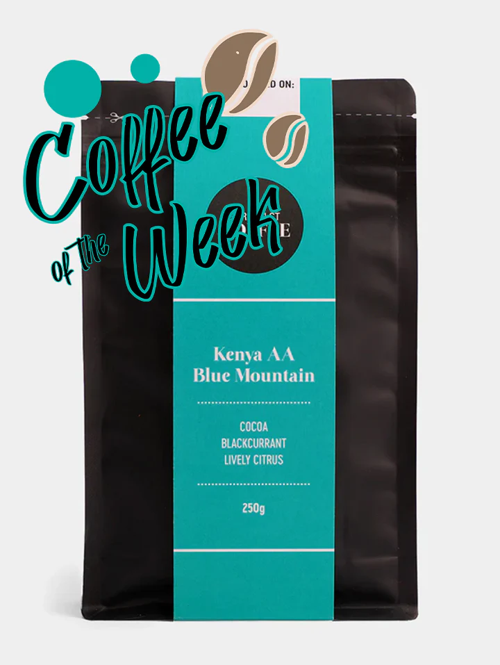 COTW - Kenya AA Blue Mountain by Gordon Street Coffee