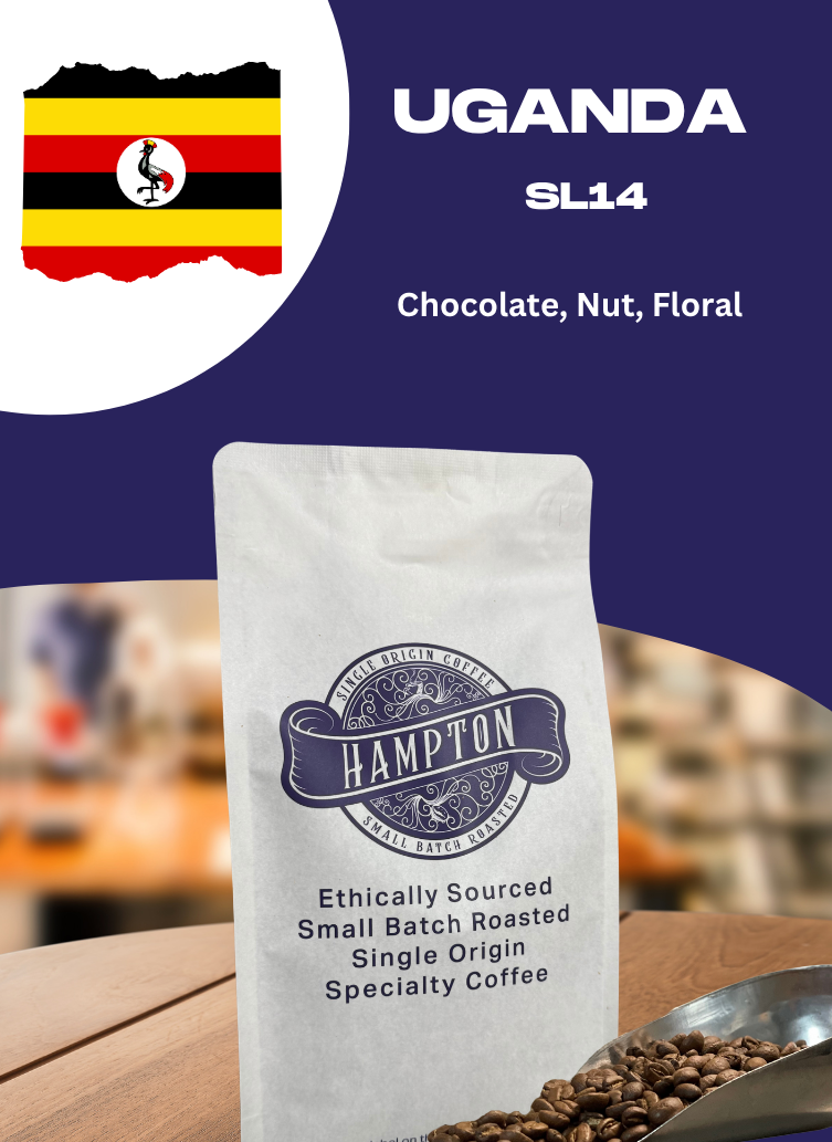Uganda SL14 Robusta by Hampton Roast Coffee