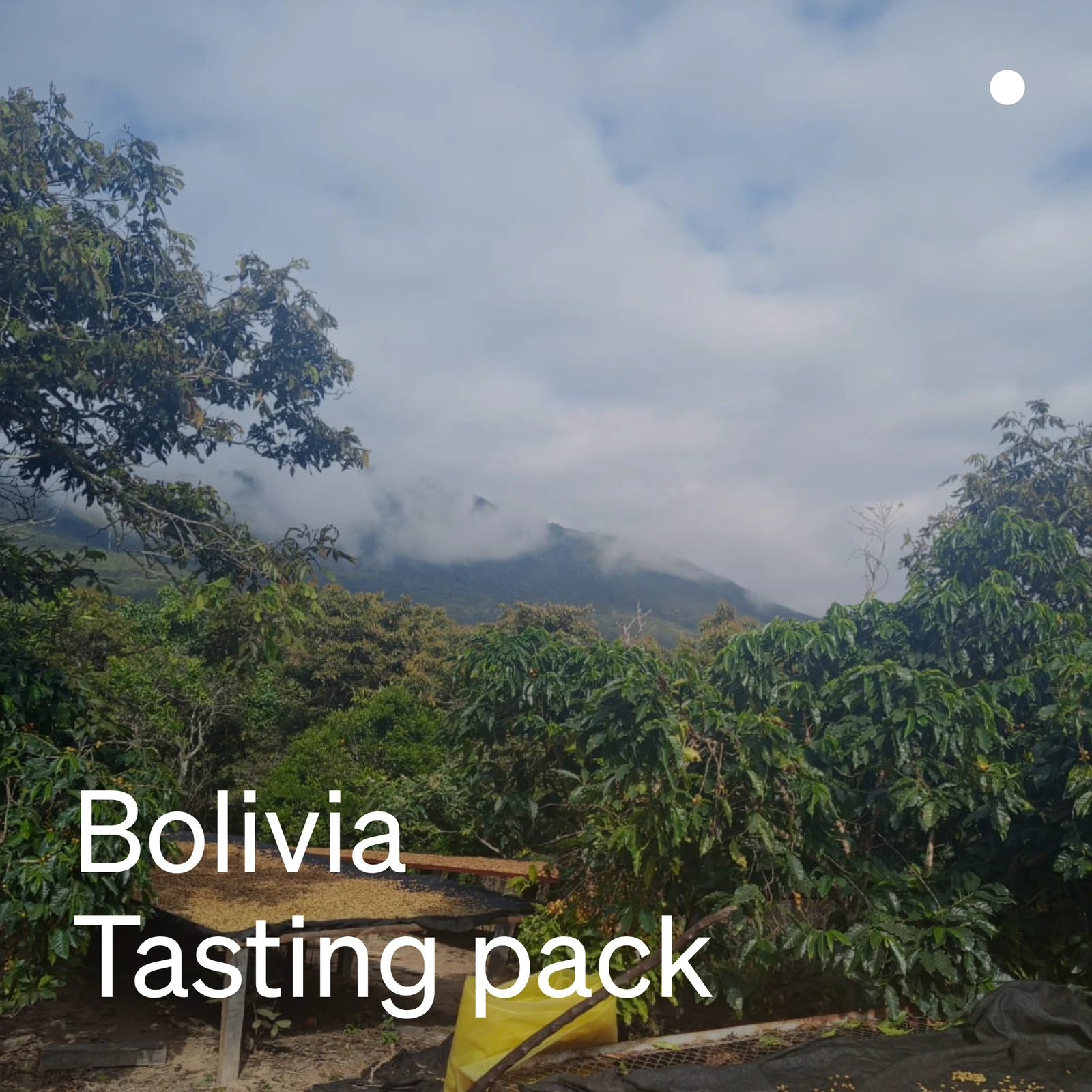 Bolivia Tasting Pack by Hasbean