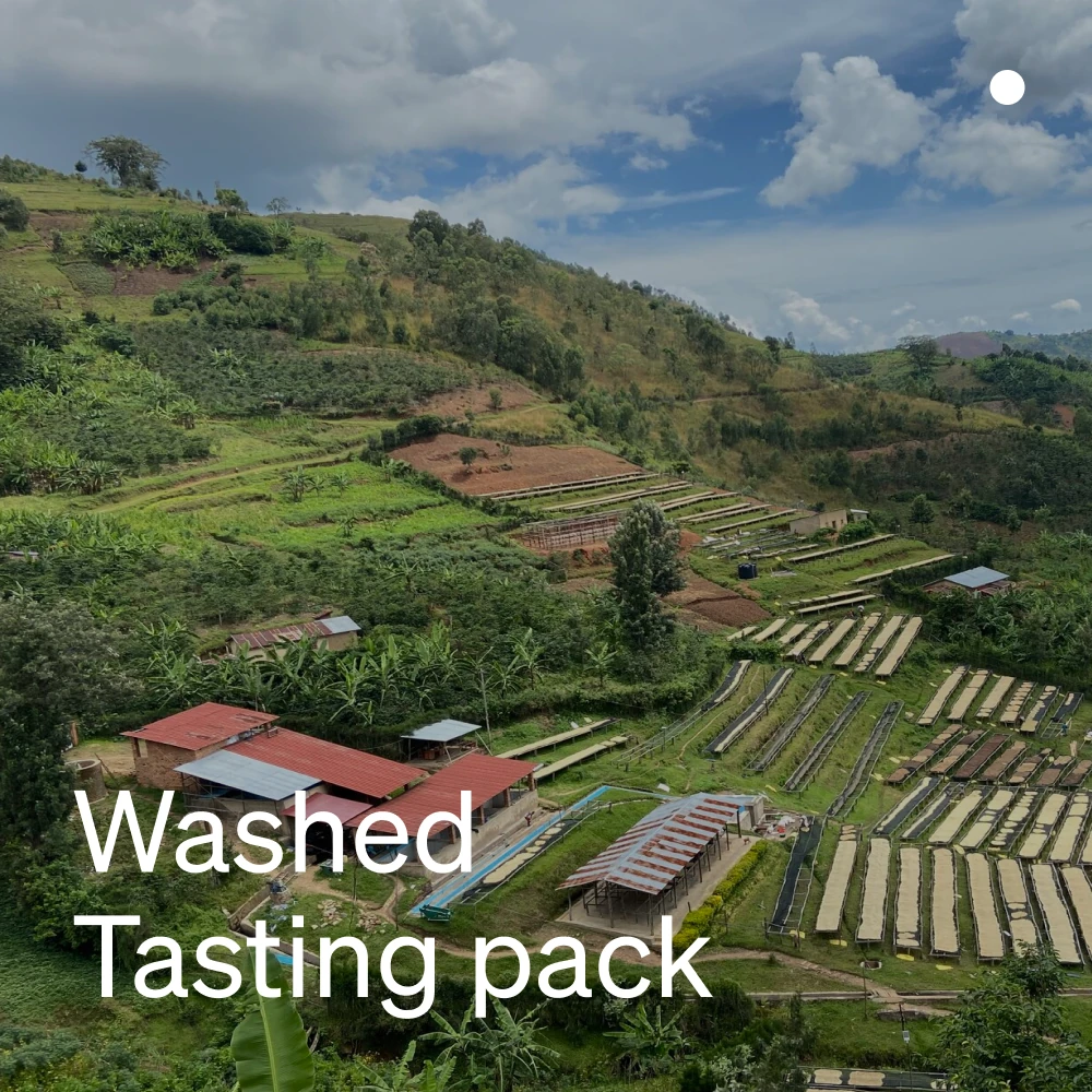 Washed Tasting Pack by Hasbean