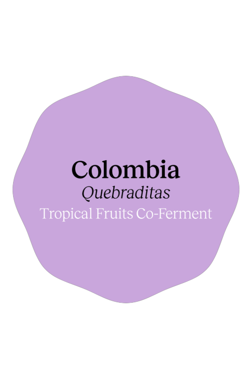 Colombia Quebraditas Tropical Fruits Co-Ferment by…