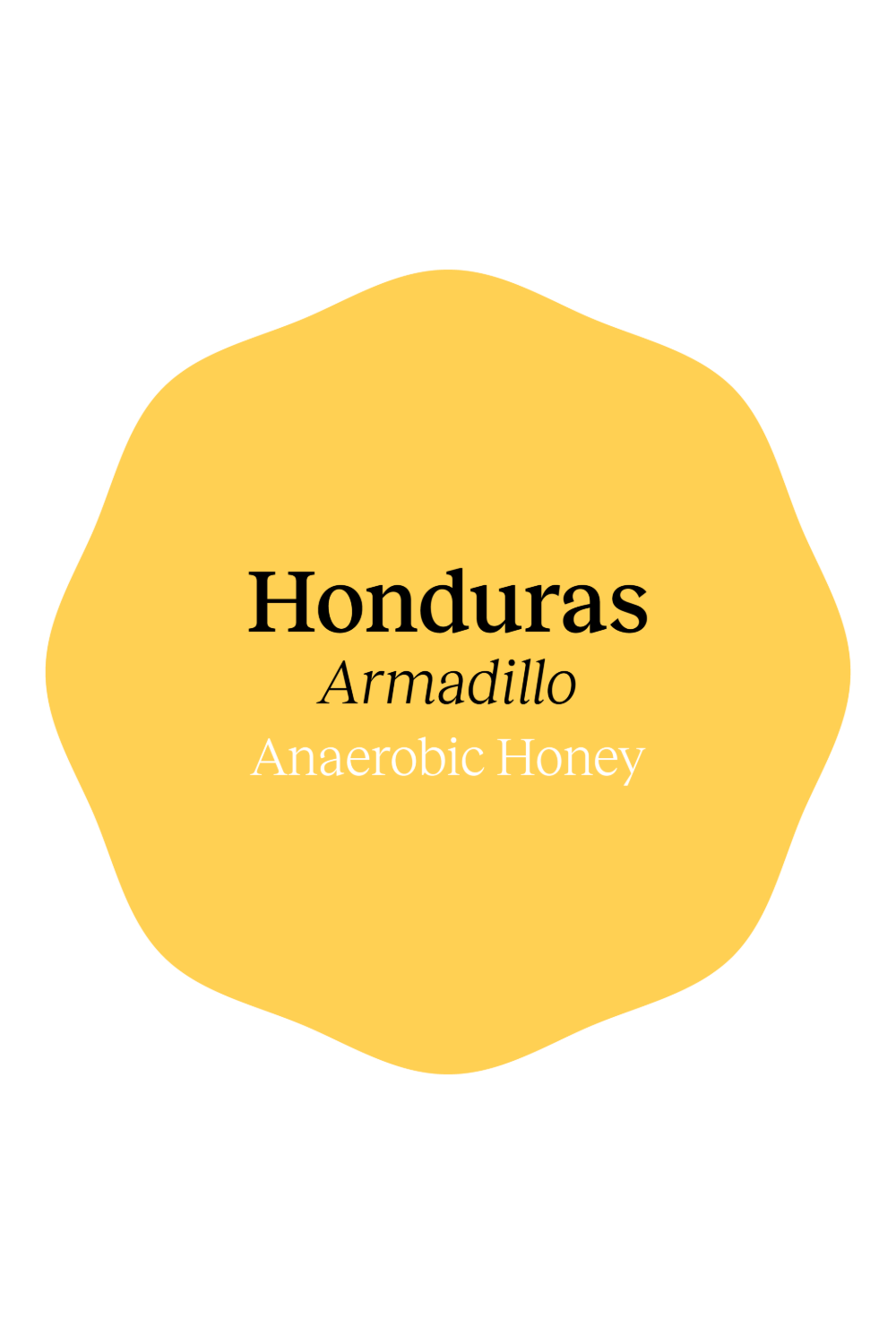 Honduras Armadillo Anaerobic Honey by Heartland Coffee…