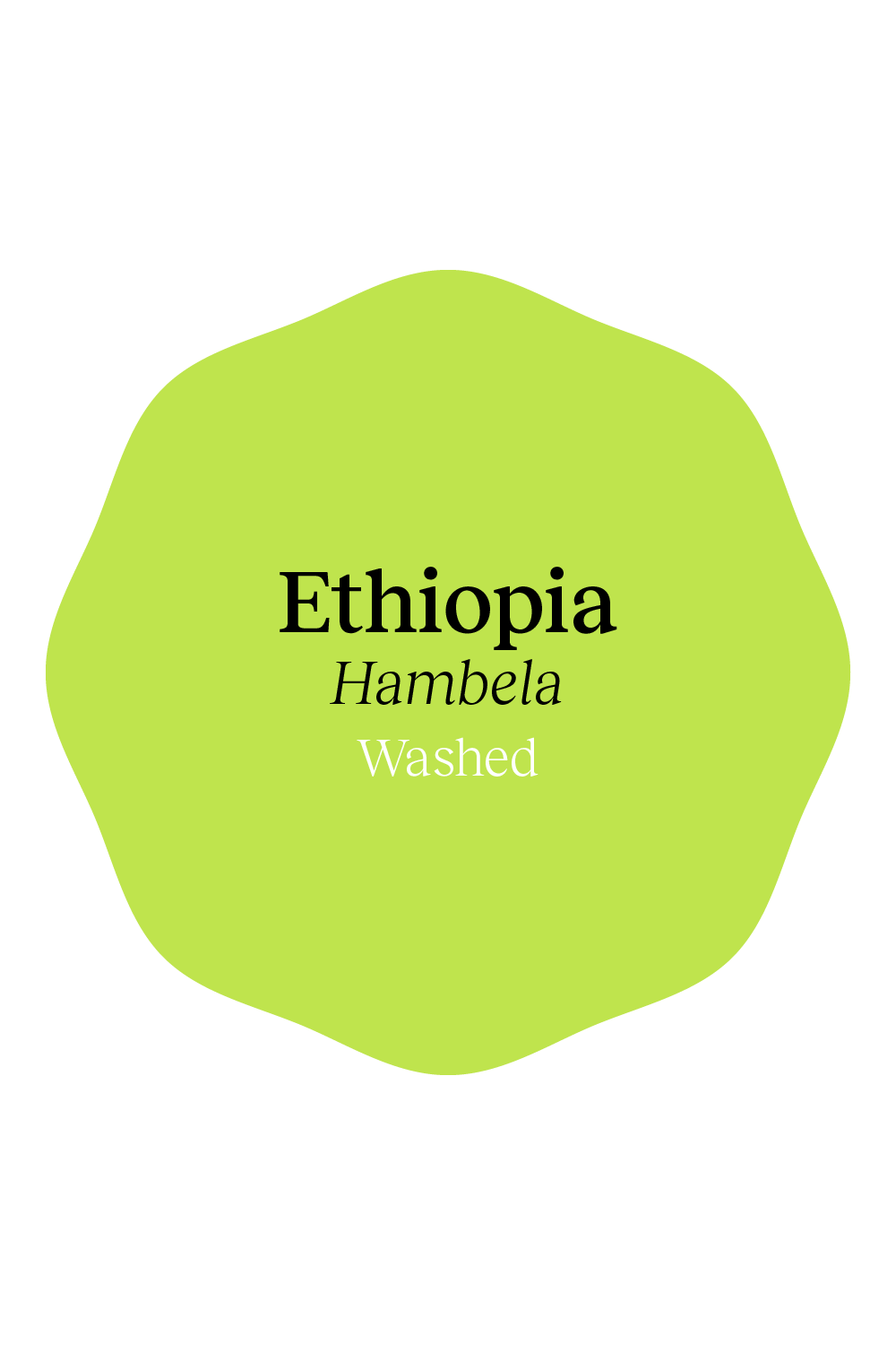 Ethiopia Hambela Washed by Heartland Coffee Roasters