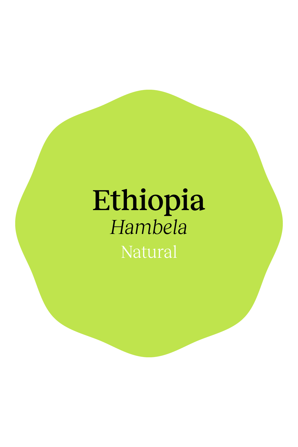 Ethiopia Hambela Natural by Heartland Coffee Roasters