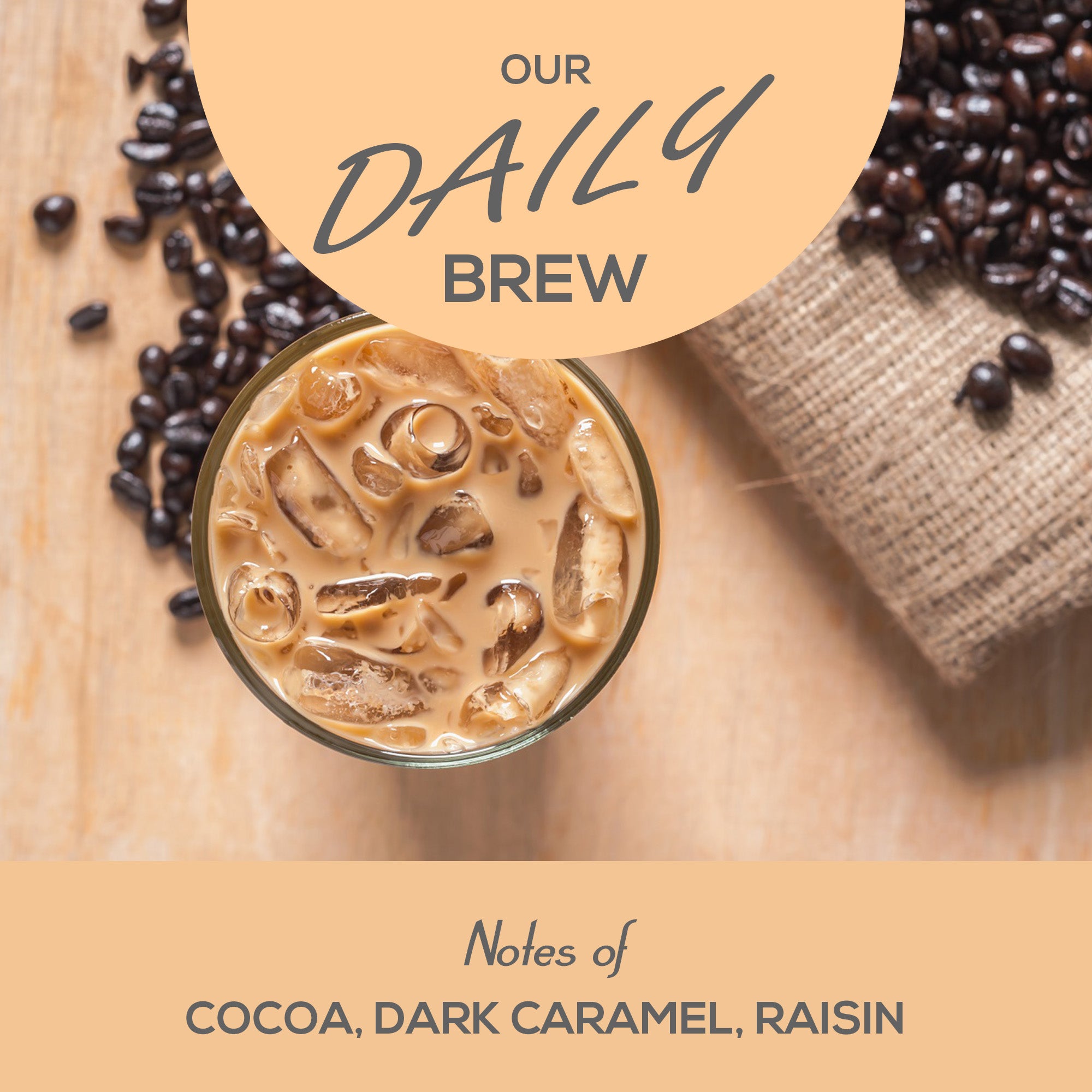 Our daily brew coffee by Herbert and Ward
