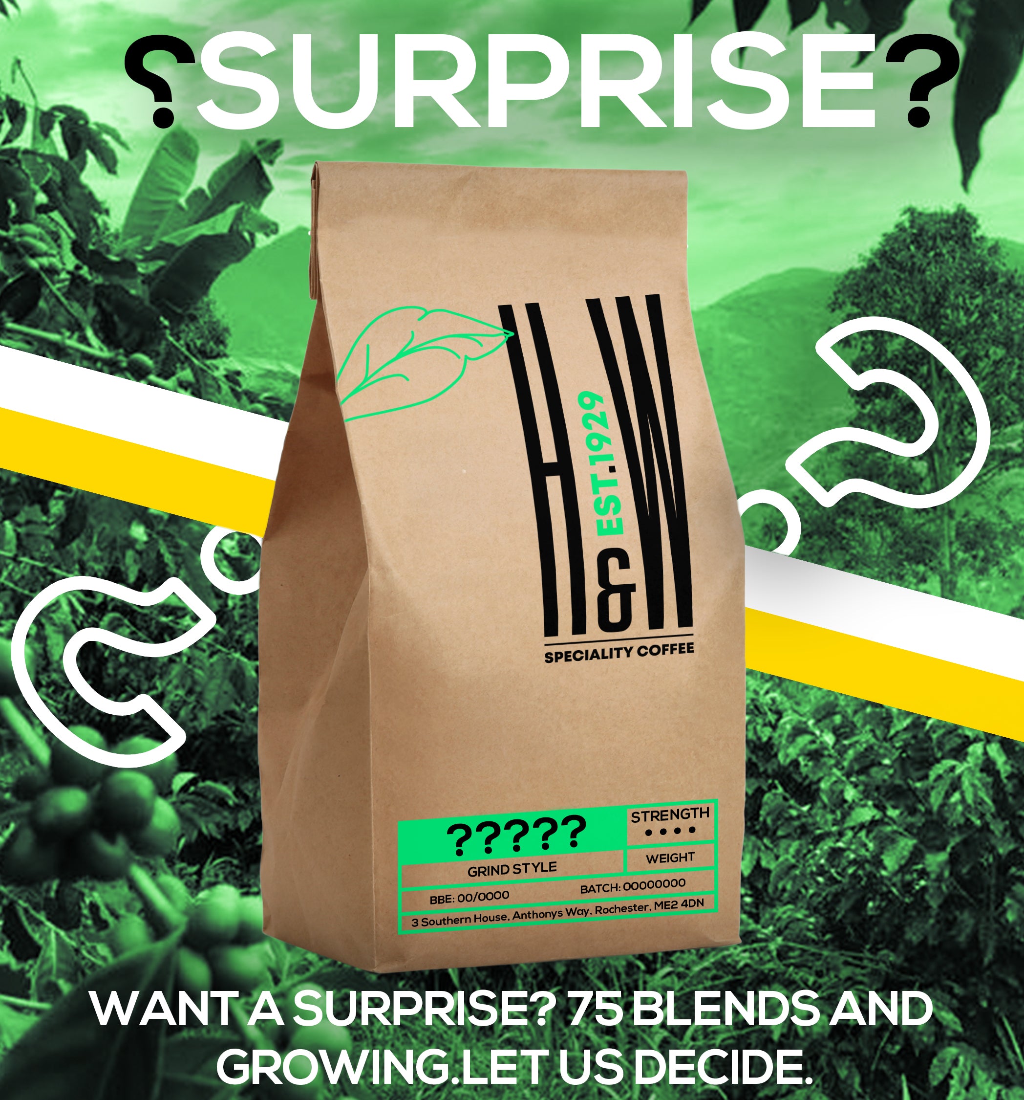 The Surprise Coffee by Herbert and Ward