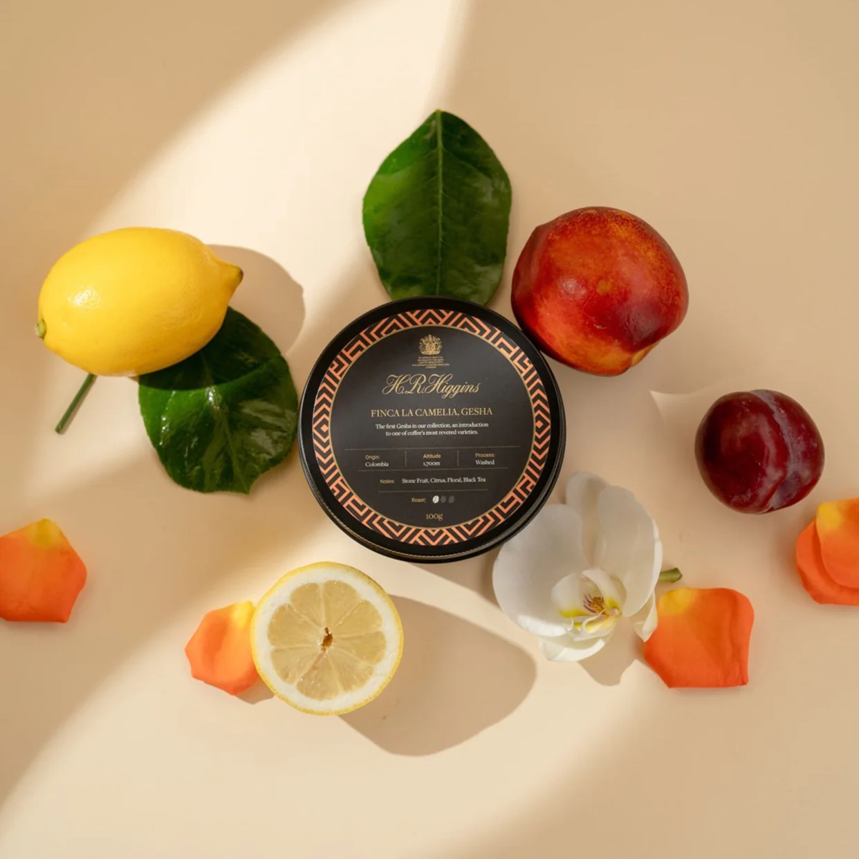 Finca La Camelia, Gesha – Whole Bean Coffee Tin by HR…