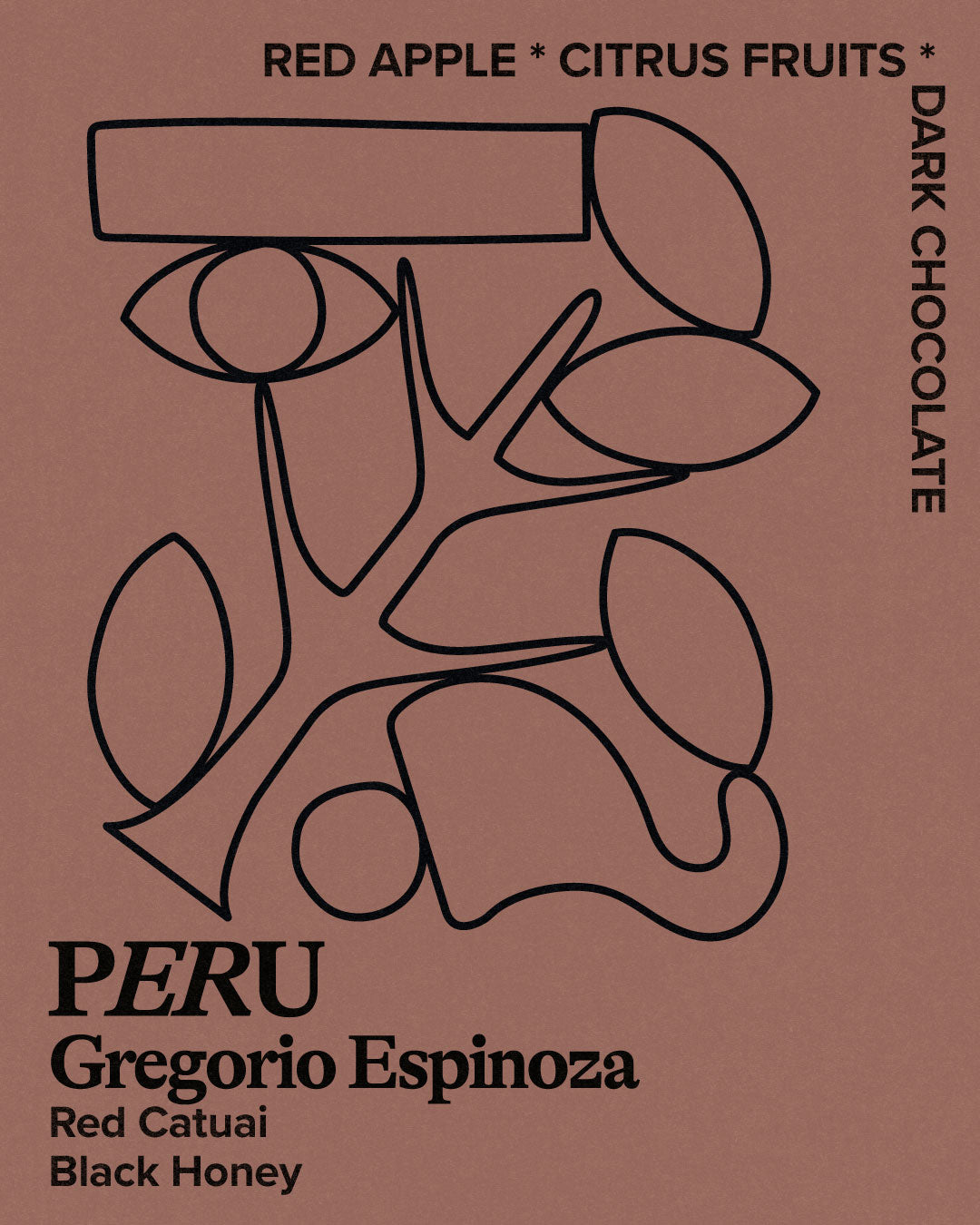 Peru, Gregorio Espinoza by Hundred House Coffee