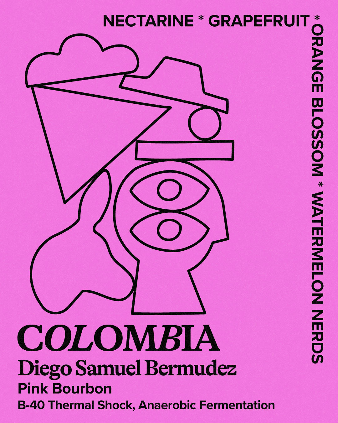 Colombia | Diego Samuel Bermudez by Hundred House Coffee