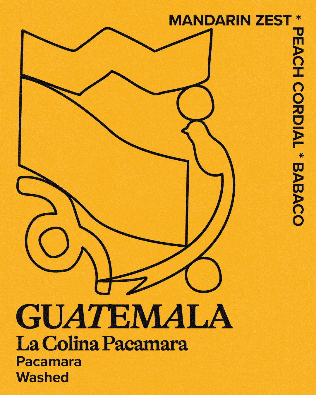 Guatemala | La Colina Pacamara — Guatemala by Hundred House Coffee