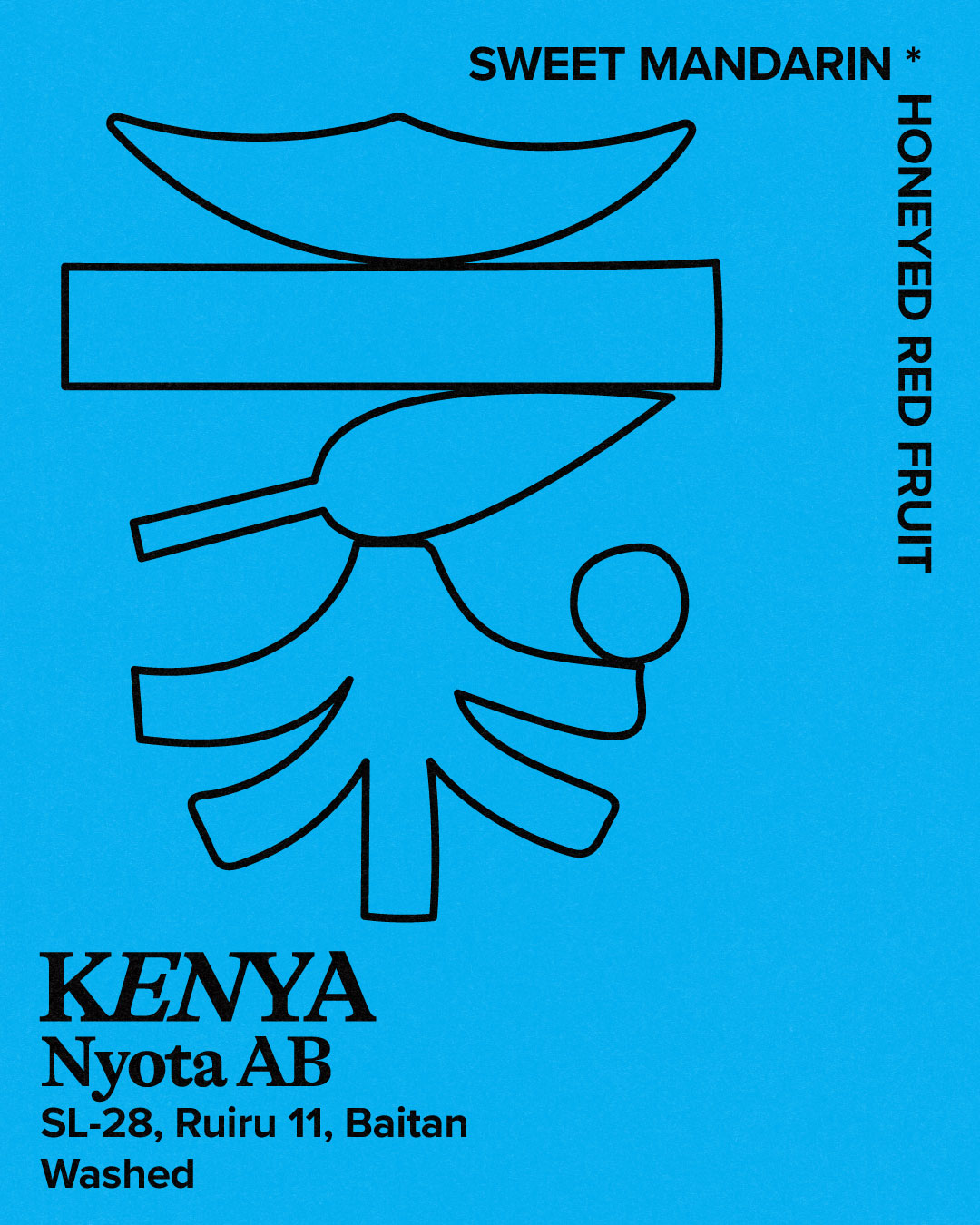 Kenya | Nyota AB — Kenya by Hundred House Coffee
