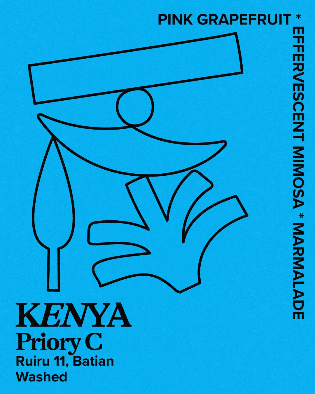Kenya, Priory C by Hundred House Coffee