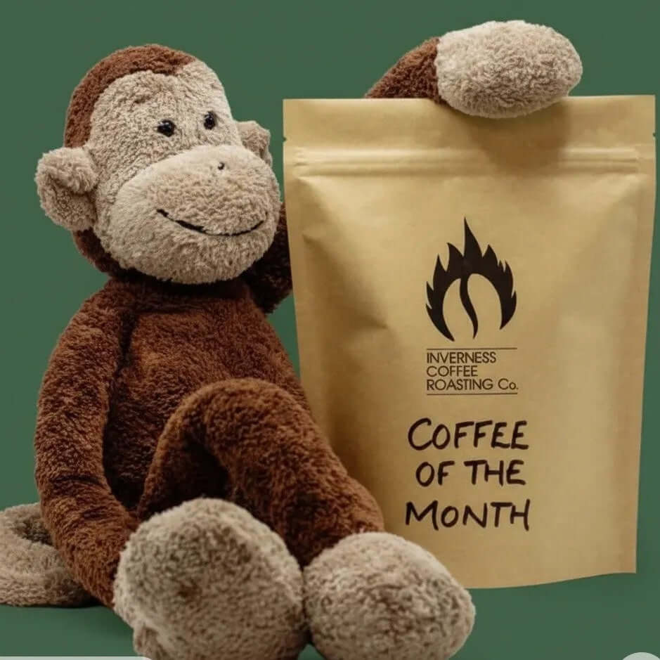 Coffee of the Month - Kenya, Miroroma