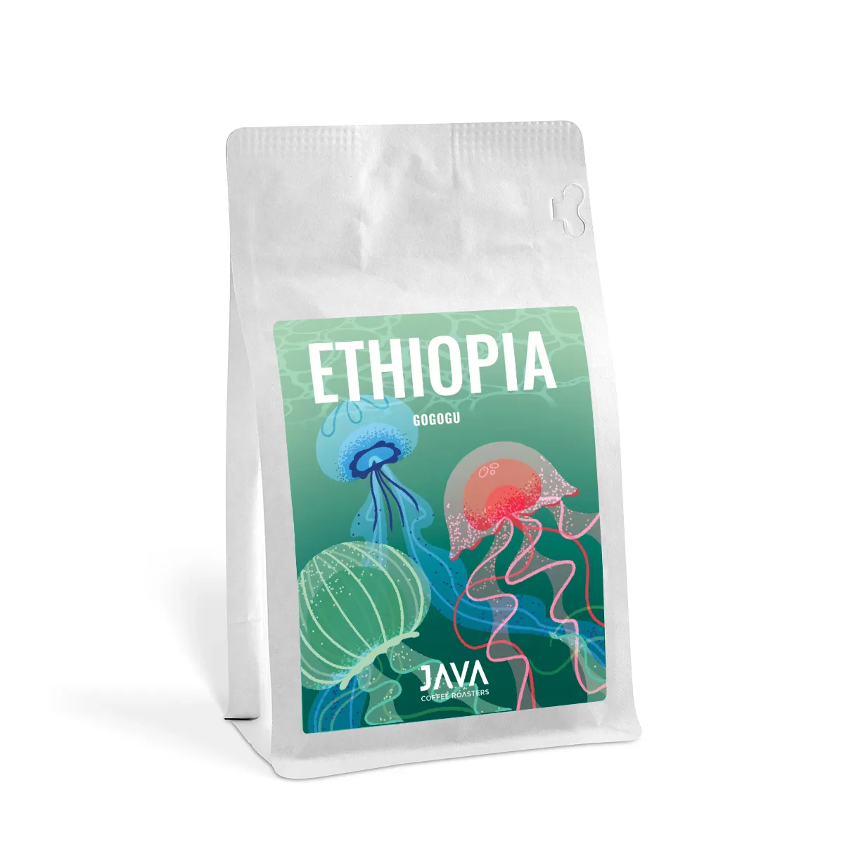 Ethiopia Gogogu - specialty coffee by JAVA Coffee