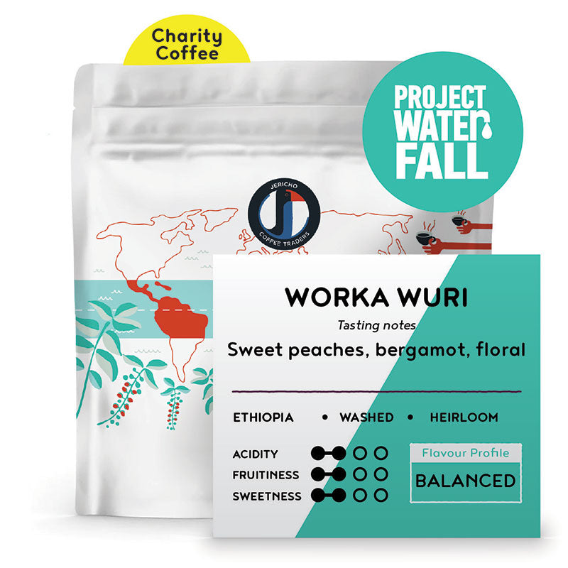 Project Waterfall - Ethiopia by JerichoCoffeeTraders