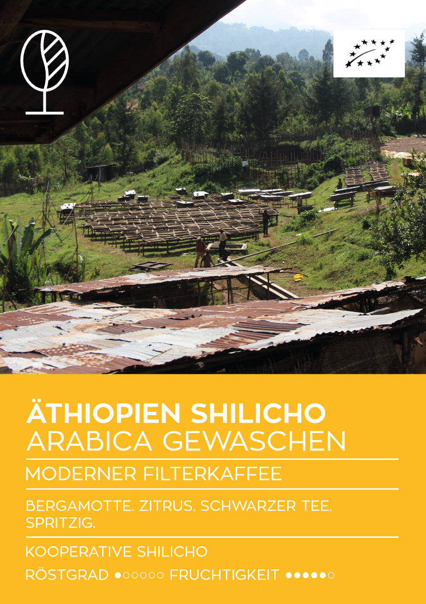 ETHIOPIAN SHILICHO WASHED | Modern Filter Coffee |…