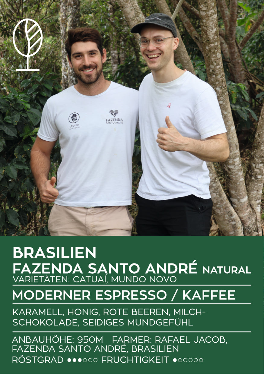 BRAZIL Fazenda Santo André – Rafael Jacob | Modern Espresso & Coffee | Single Origin by Kaethekaffee