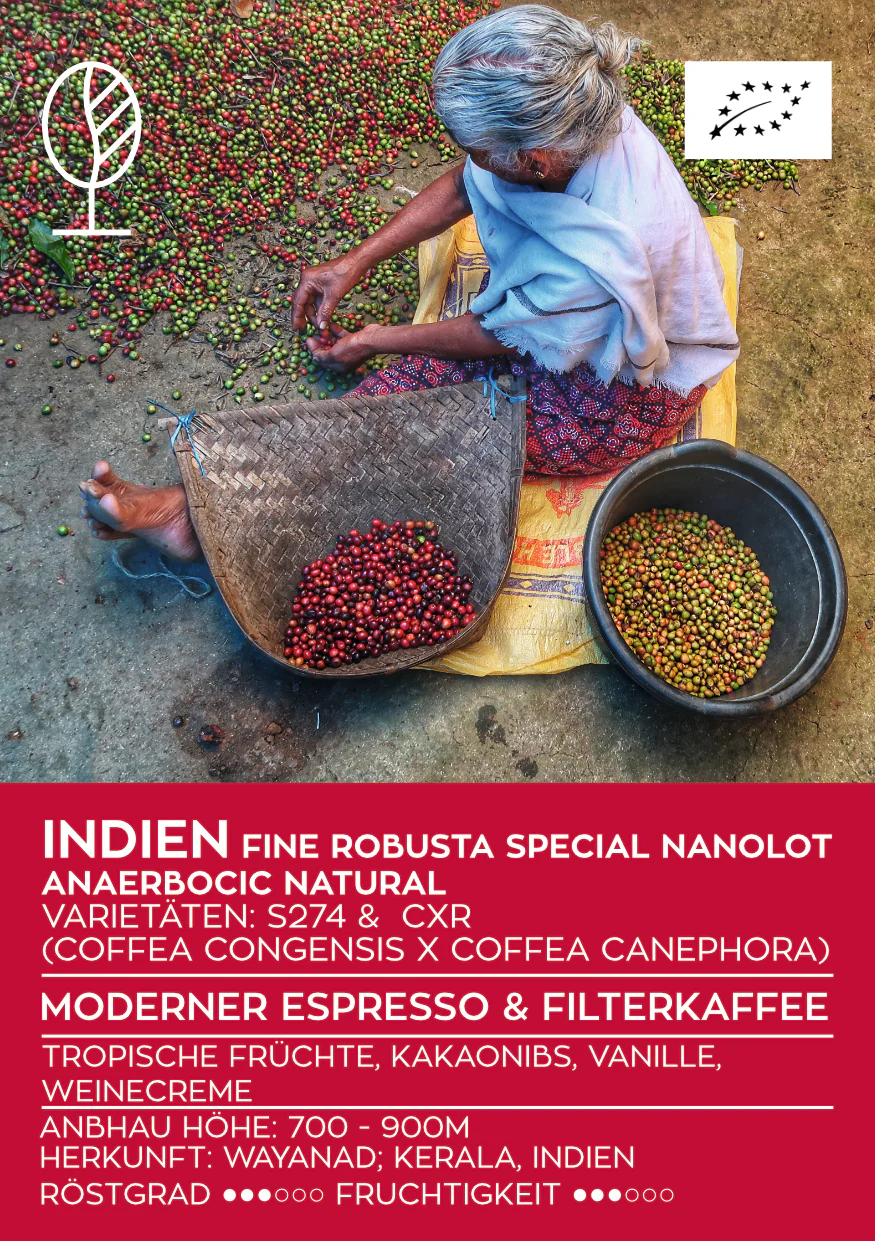 INDIAN ANAEROBIC NATURAL | Fine Robusta Special Nanolot…