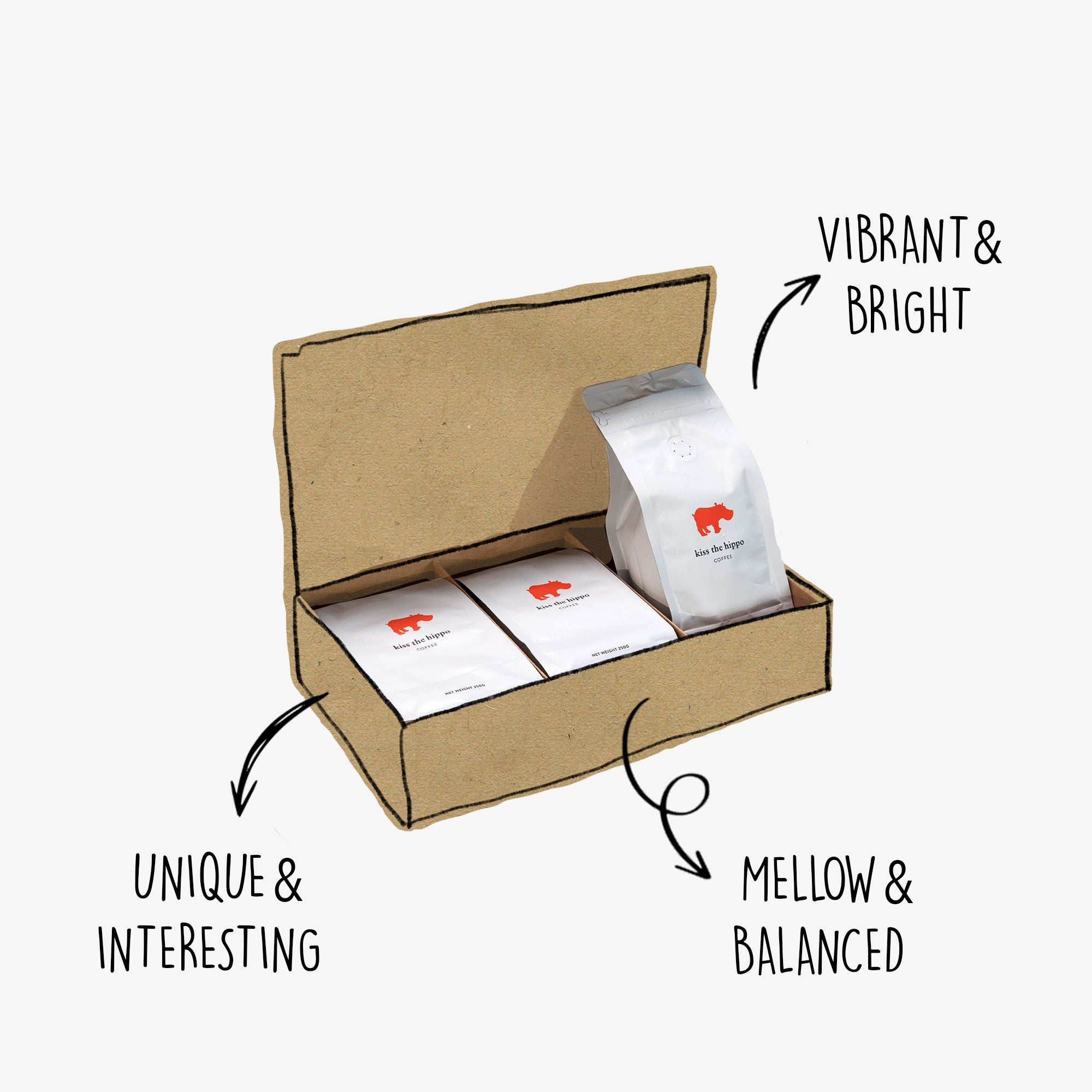 Explorer Taster Pack by Kiss the Hippo Coffee