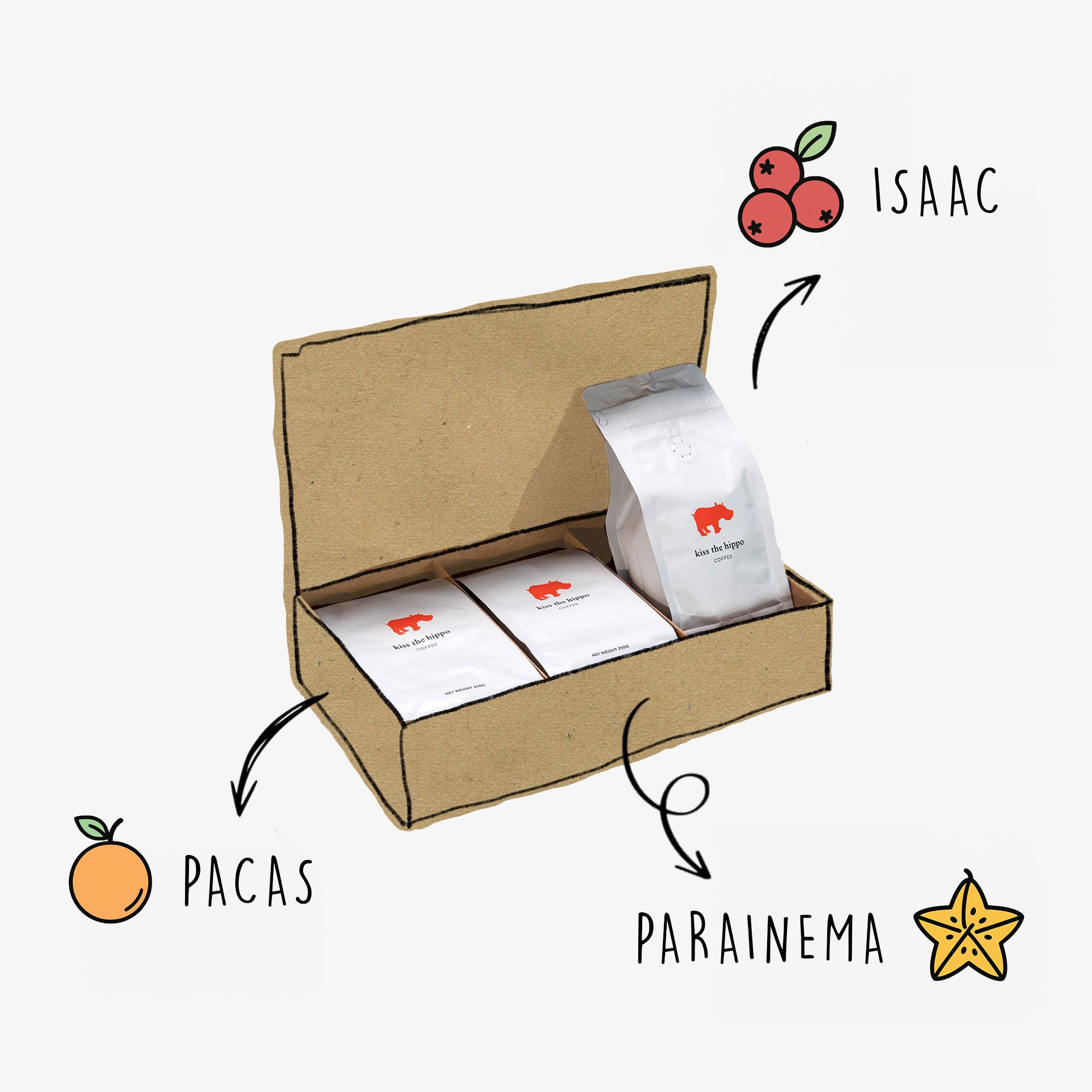 Honduran Trio Pack — Honduras by Kiss the Hippo Coffee